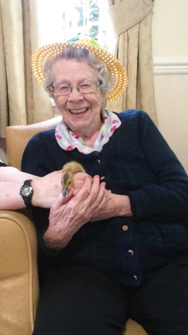 Ducklings have hatched at a Northumberland care home just in time for Easter.